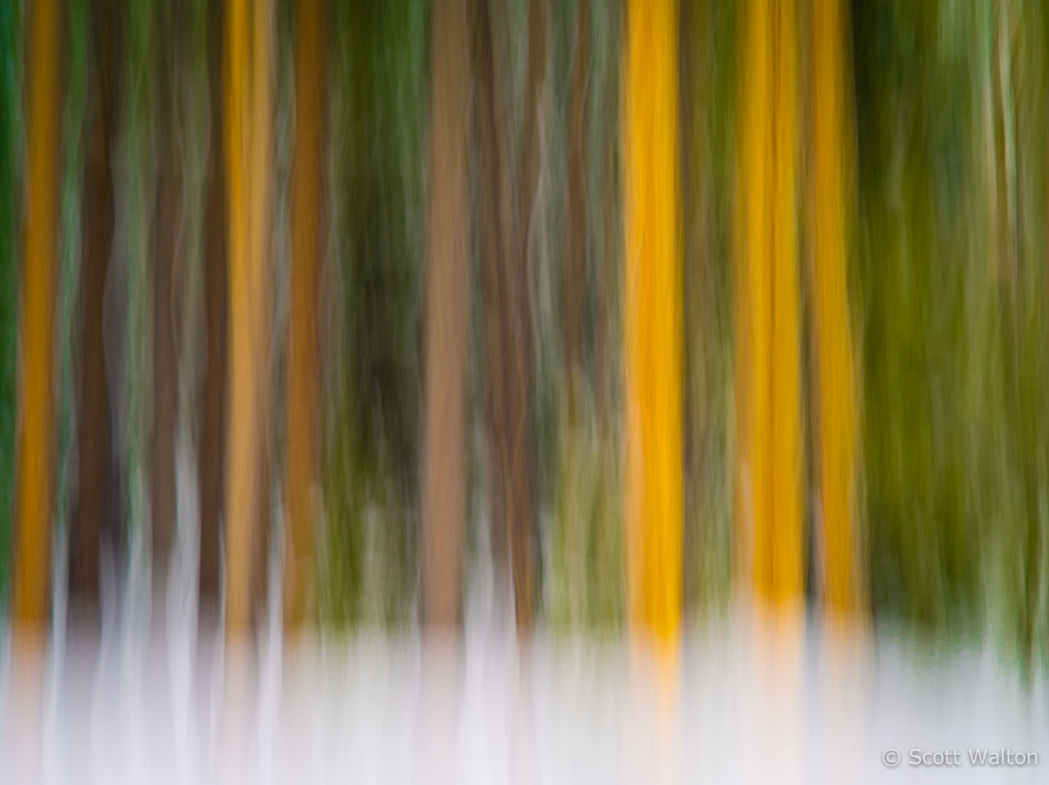 motion-blur-abstract-impression_IGP1387.jpg