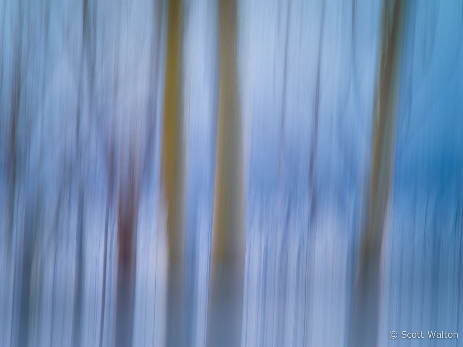 motion-blur-abstract-impression_IGP1483.jpg