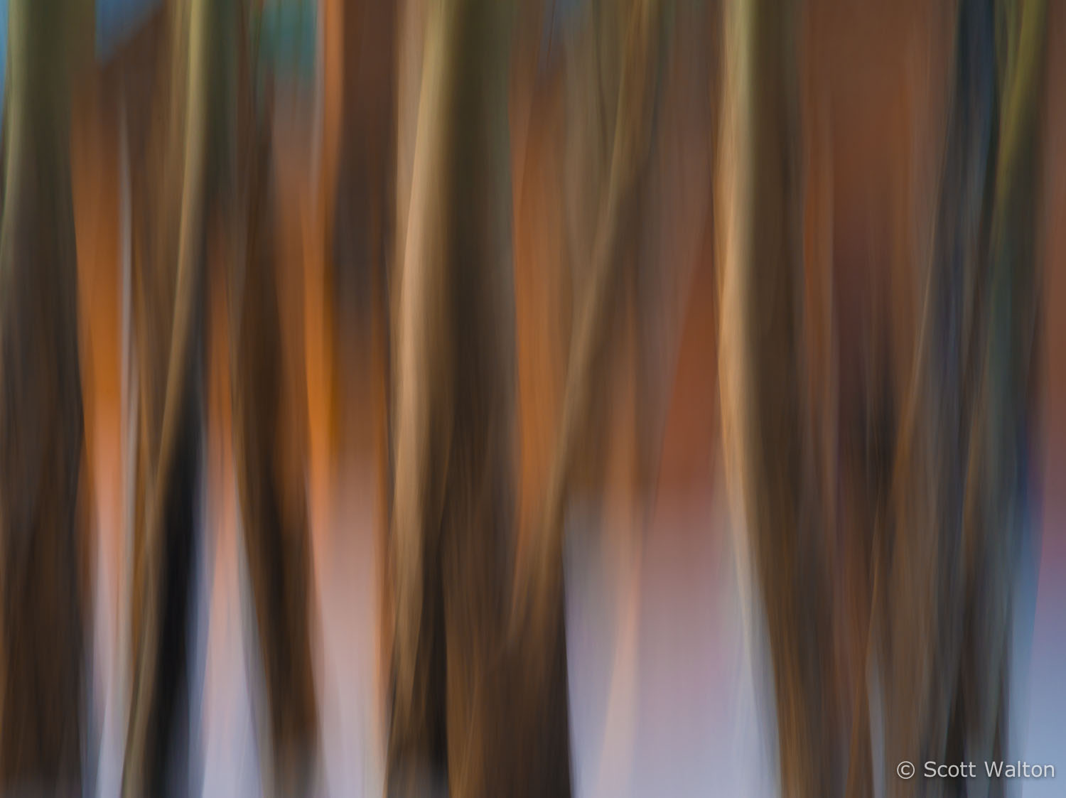 motion-blur-abstract-impression_IGP1730.jpg