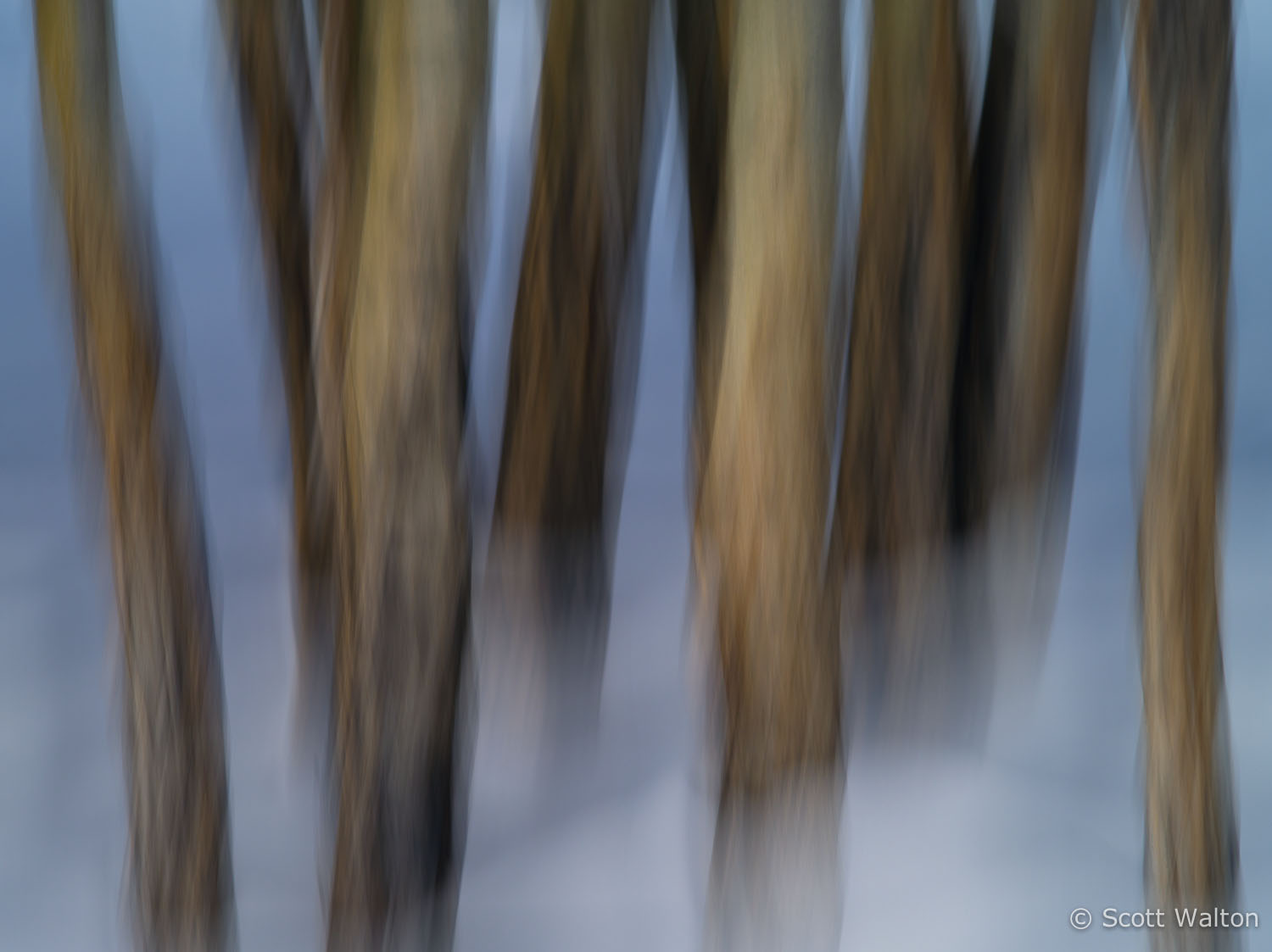 motion-blur-abstract-impression_IGP1757.jpg