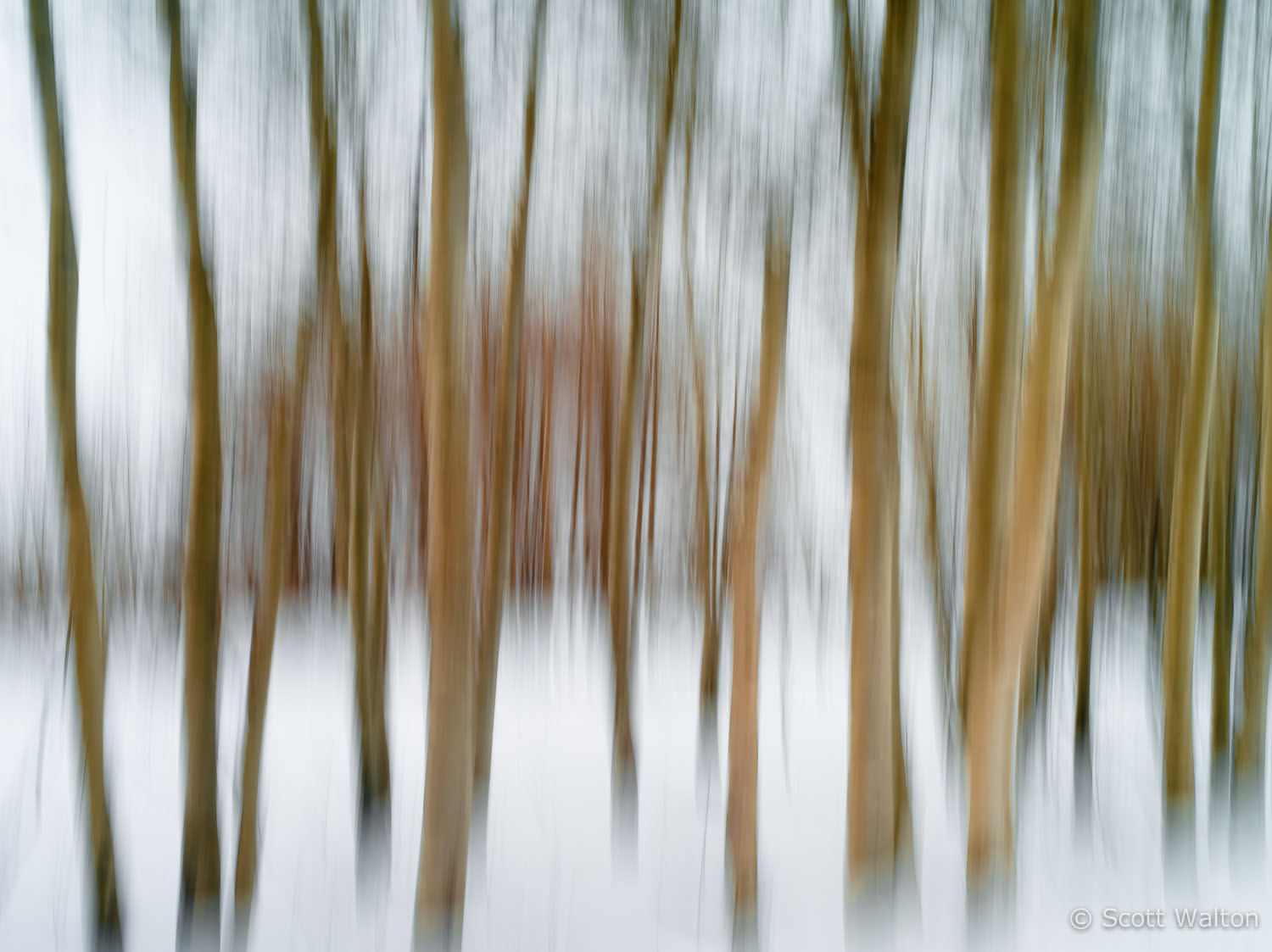 motion-blur-abstract-impression_IGP1853.jpg