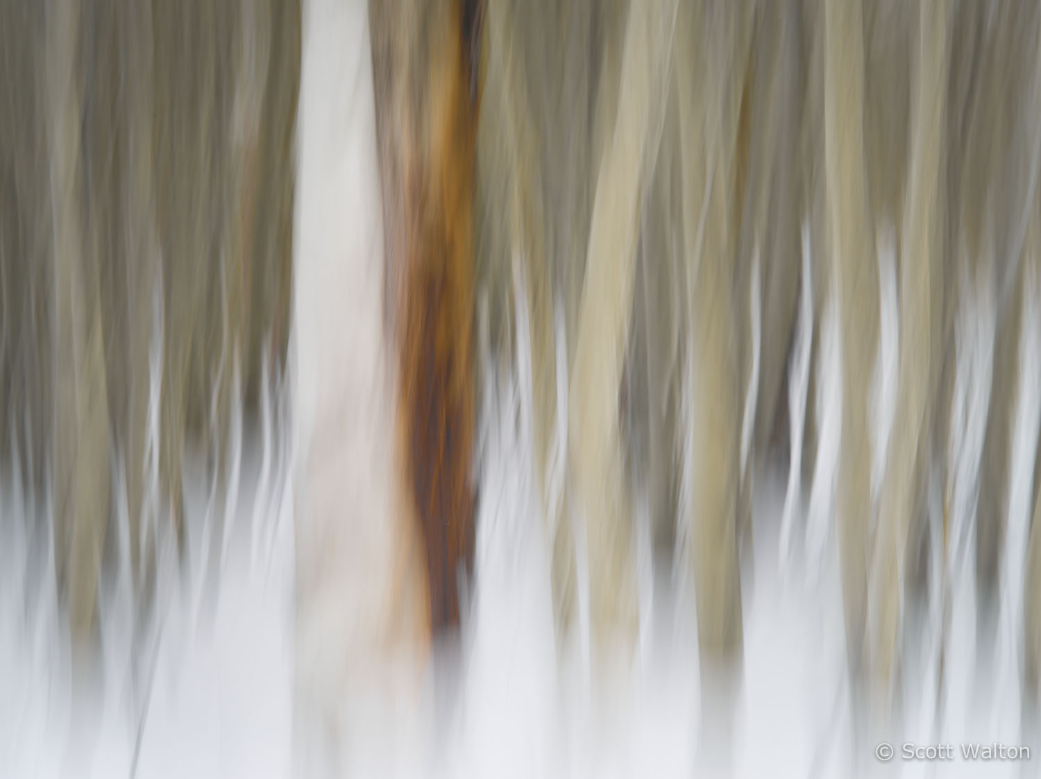 motion-blur-abstract-impression_IGP1887.jpg