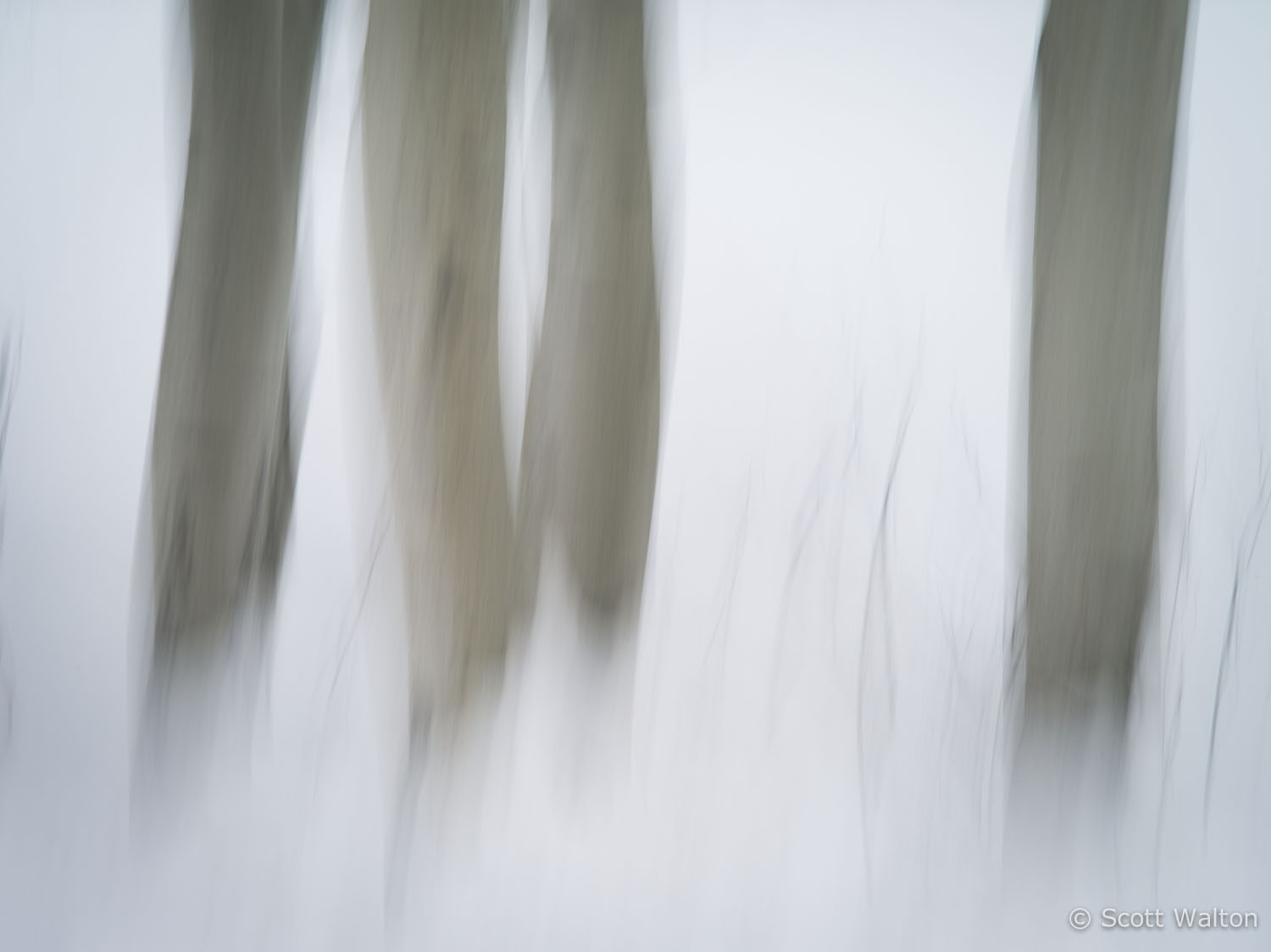 motion-blur-abstract-impression_IGP1903.jpg