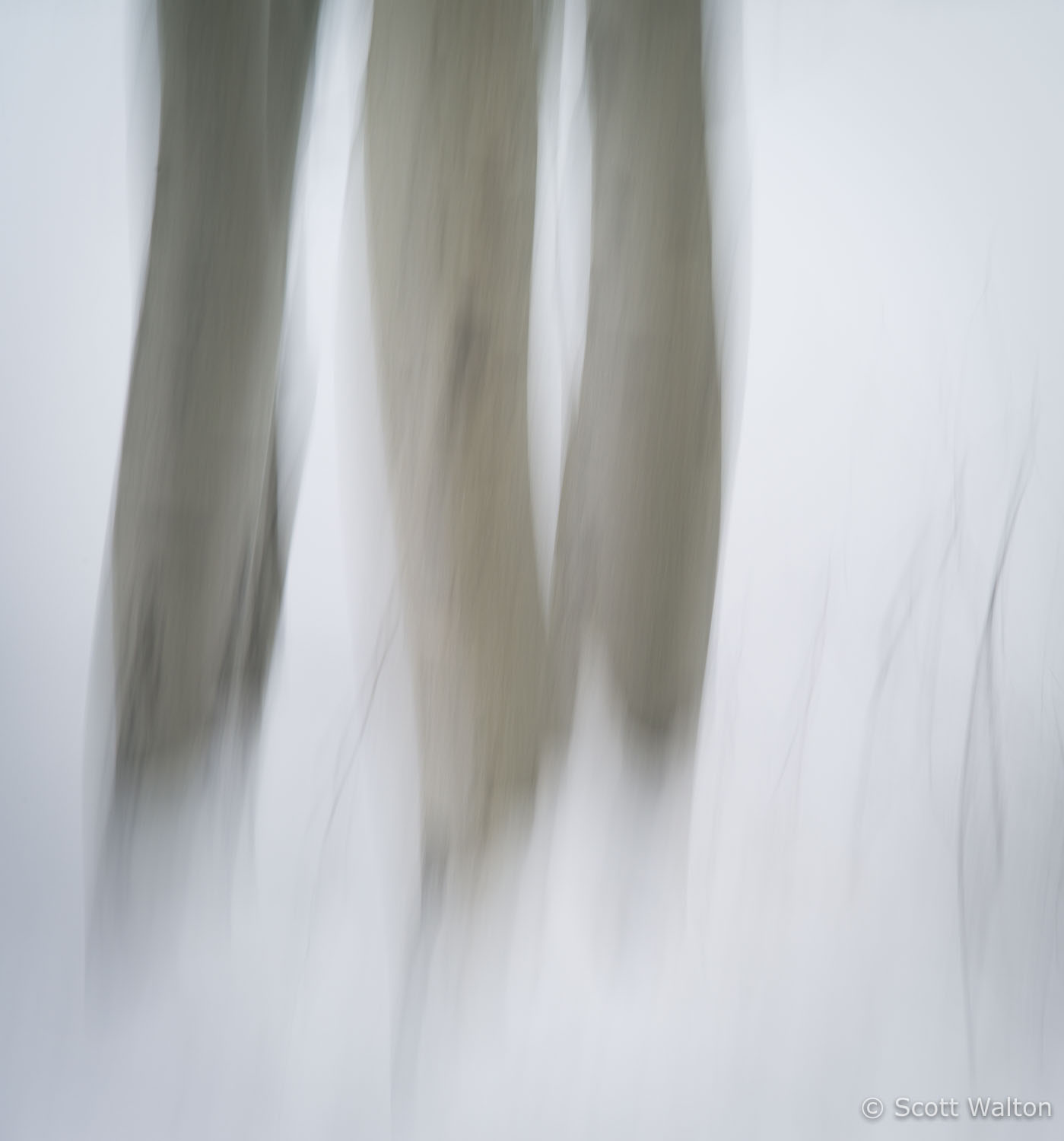 motion-blur-abstract-impression_IGP1903_v1.jpg