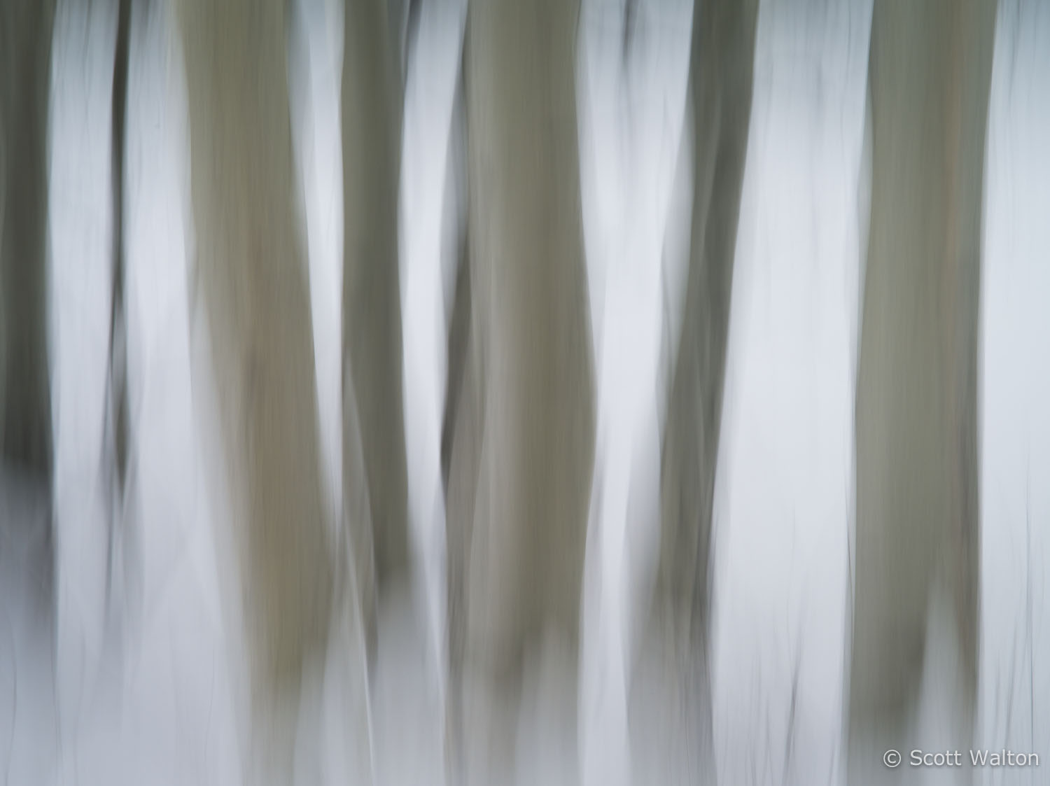 motion-blur-abstract-impression_IGP1907.jpg
