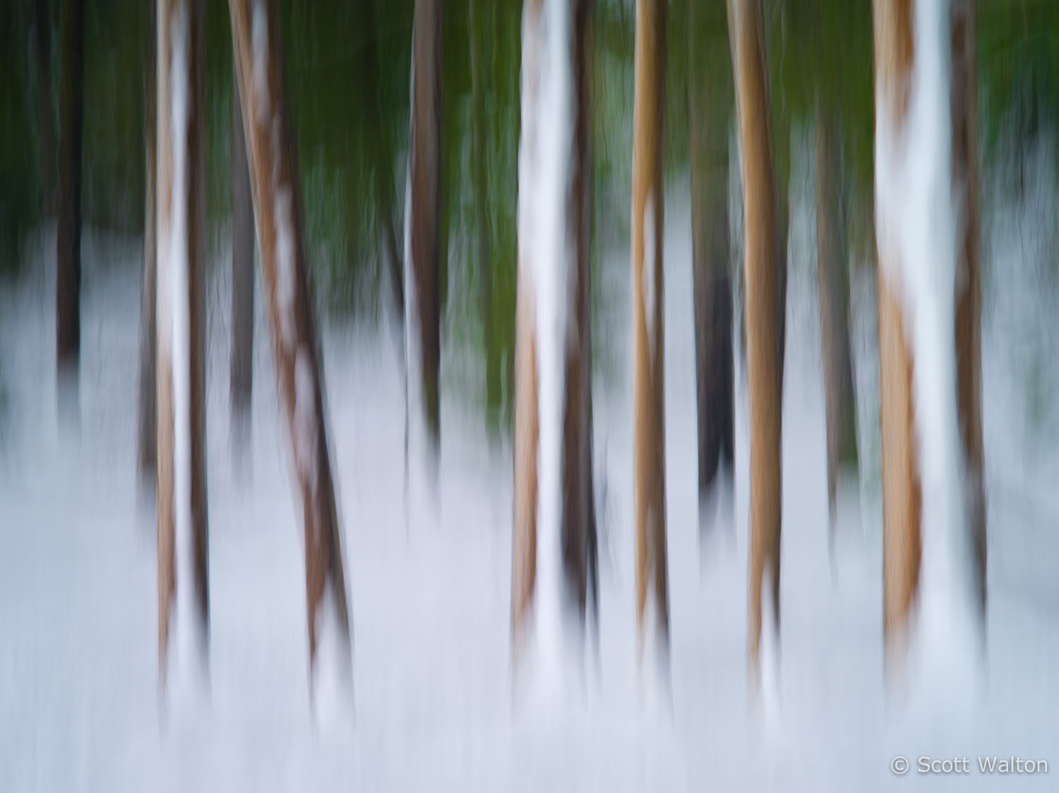 motion-blur-abstract-impression_IGP1943.jpg