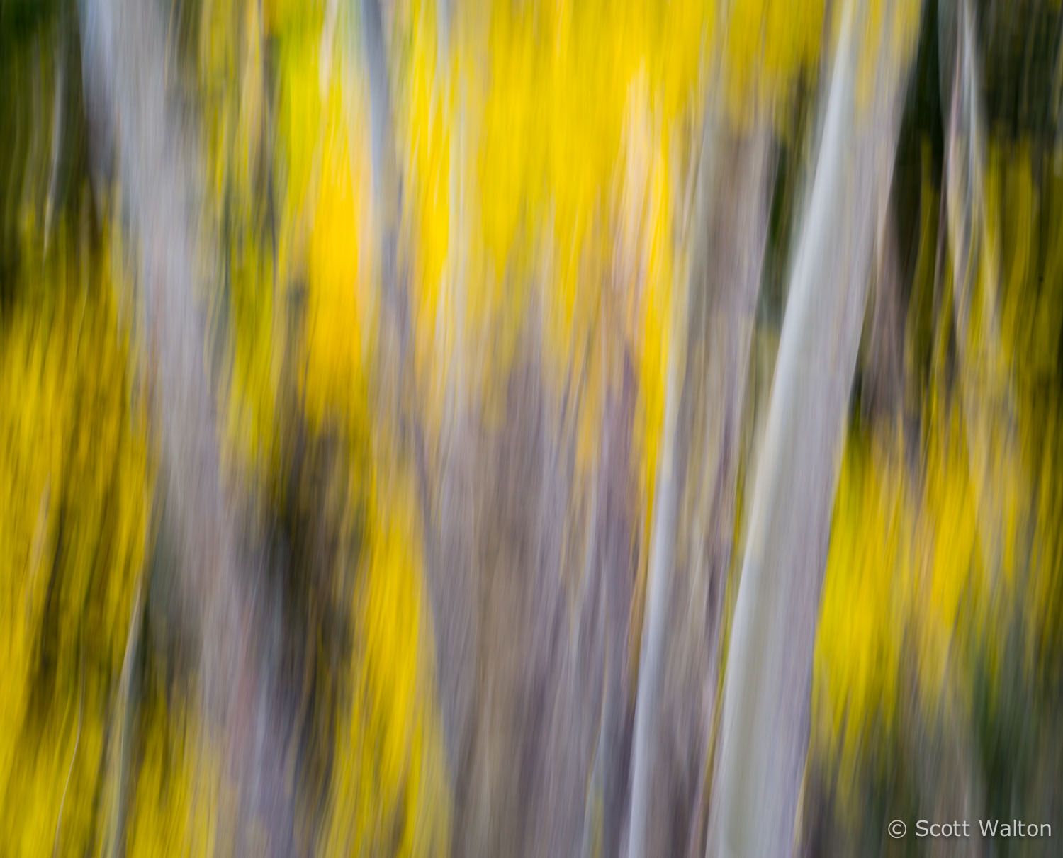 motion-blur-abstract-impression_IGP6115.jpg