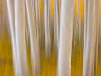 motion-blur-abstract-impression_1080448.jpg