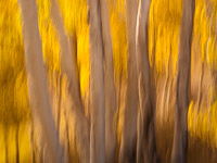 motion-blur-abstract-impression_1080569.jpg