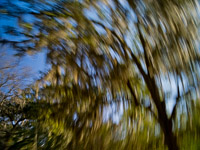 motion-blur-abstract-impression_IGP0149.jpg