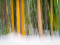 motion-blur-abstract-impression_IGP1378.jpg