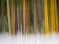 motion-blur-abstract-impression_IGP1386.jpg