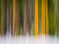 motion-blur-abstract-impression_IGP1387.jpg