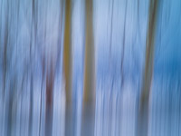 motion-blur-abstract-impression_IGP1483.jpg