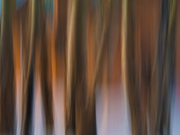 motion-blur-abstract-impression_IGP1730.jpg