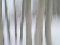 motion-blur-abstract-impression_IGP1893.jpg