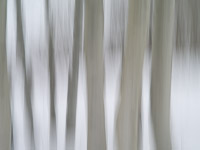 motion-blur-abstract-impression_IGP1893.jpg