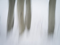 motion-blur-abstract-impression_IGP1903.jpg