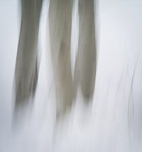 motion-blur-abstract-impression_IGP1903_v1.jpg