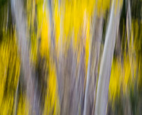 motion-blur-abstract-impression_IGP6115.jpg