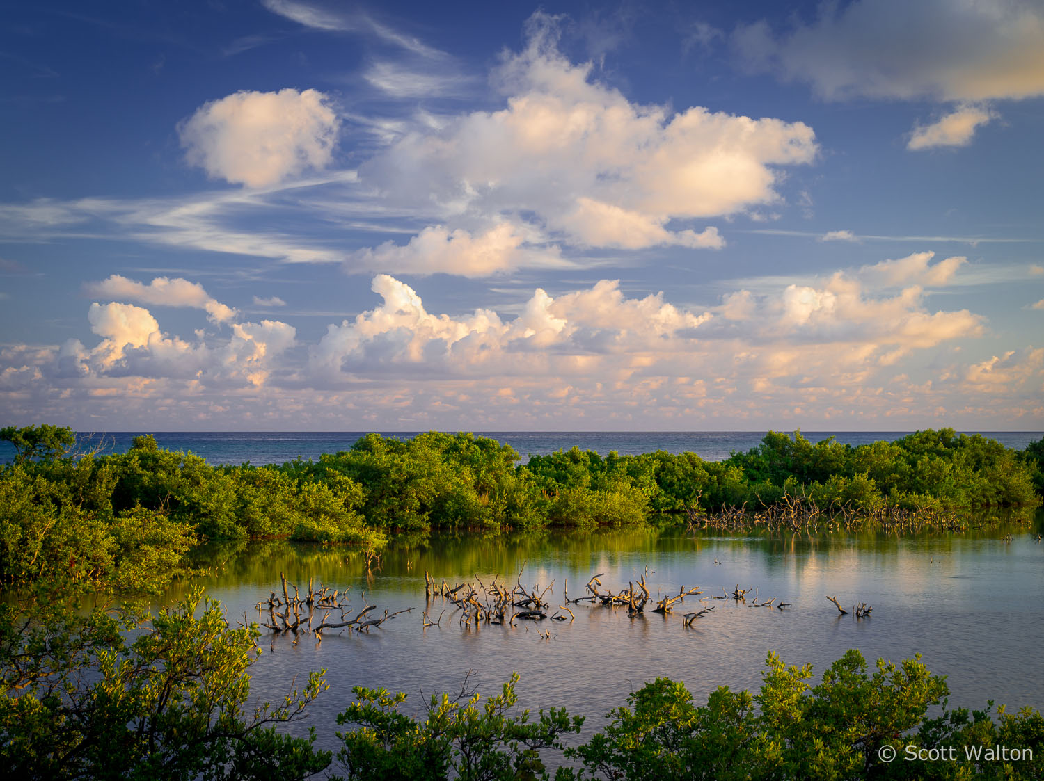 great-white-heron-national-wildlife-refuge-2-ohio-key-florida.jpg