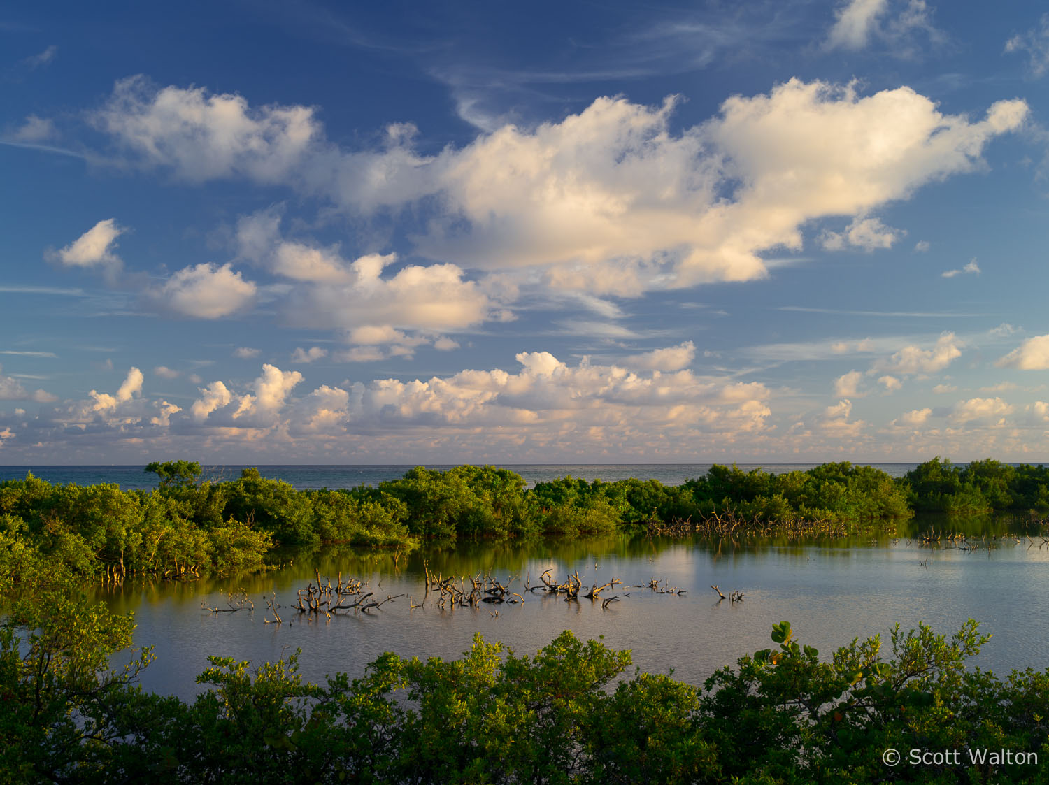 great-white-heron-national-wildlife-refuge-ohio-key-florida.jpg