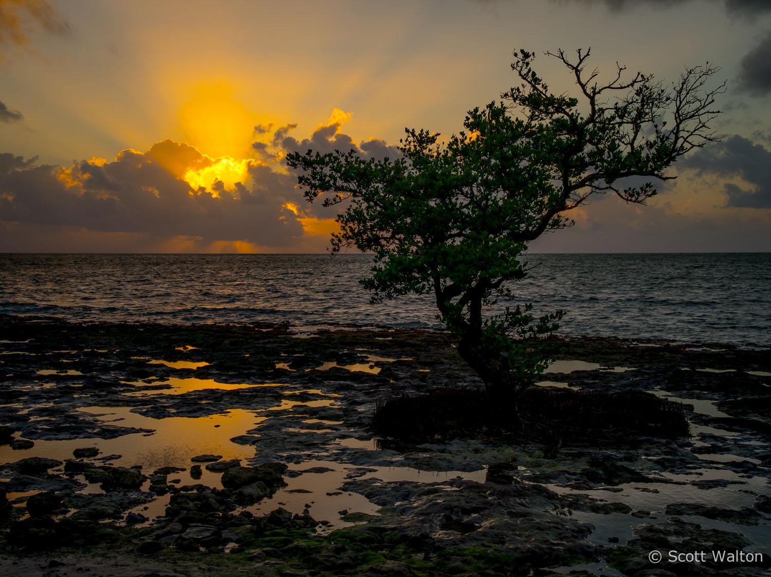 mangrove-sunrise-spanish-harbor-key-florida.jpg
