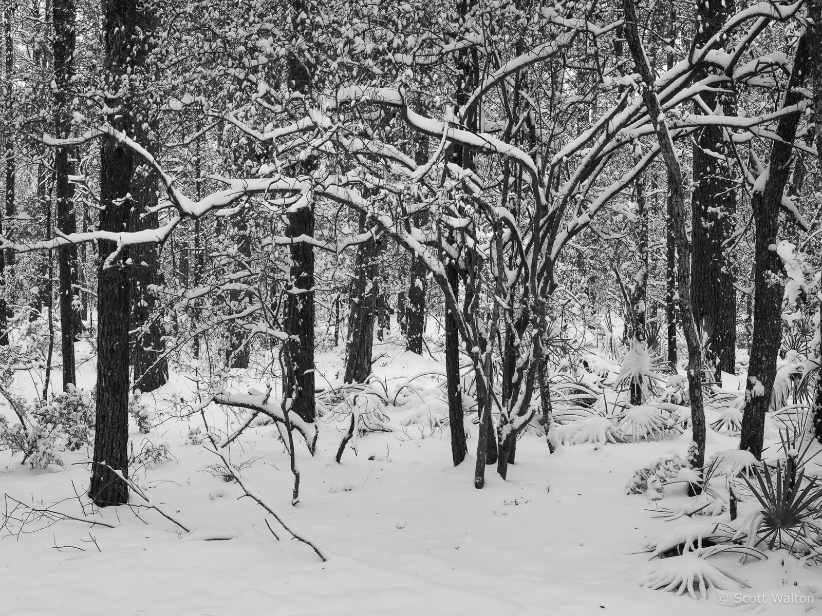 _IMG1689.jpg
