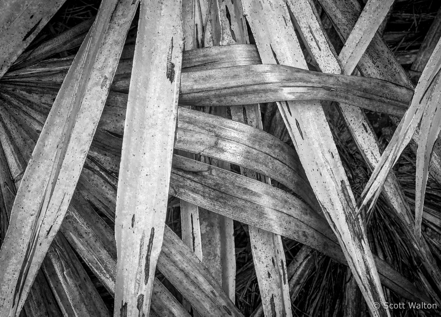 interlocking-wet-palmetto-eglin-florida_v1.jpg