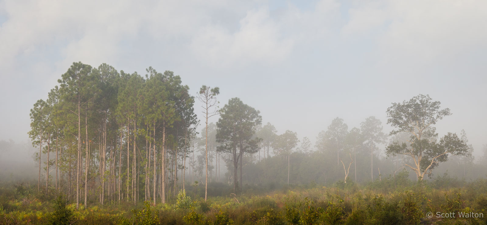 northwest_florida_sunrise_fog_eglin_reservation_Z2A6279.jpg