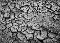Cracked Mud _IGP7476.jpg