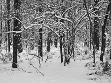 _IMG1689.jpg