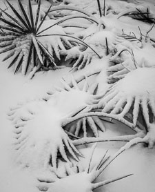 _IMG1702.jpg