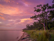 Florida Gulf Coast