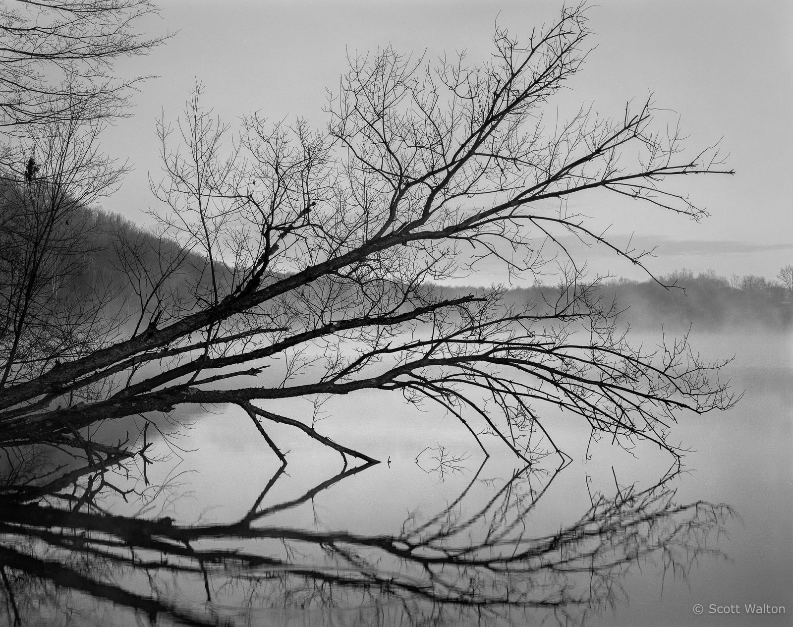 LakeLoganReflectionsFog-homescan_tri-x.jpg