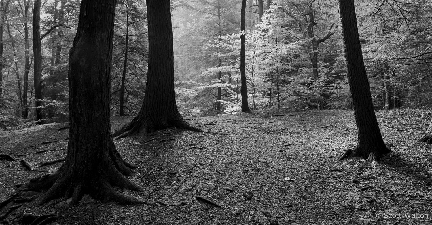 the-ledges-cuyahoga-valley-national-park-ohio.jpg