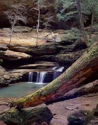 OMCleaningTreeWaterfallPool-7001740-006.jpg
