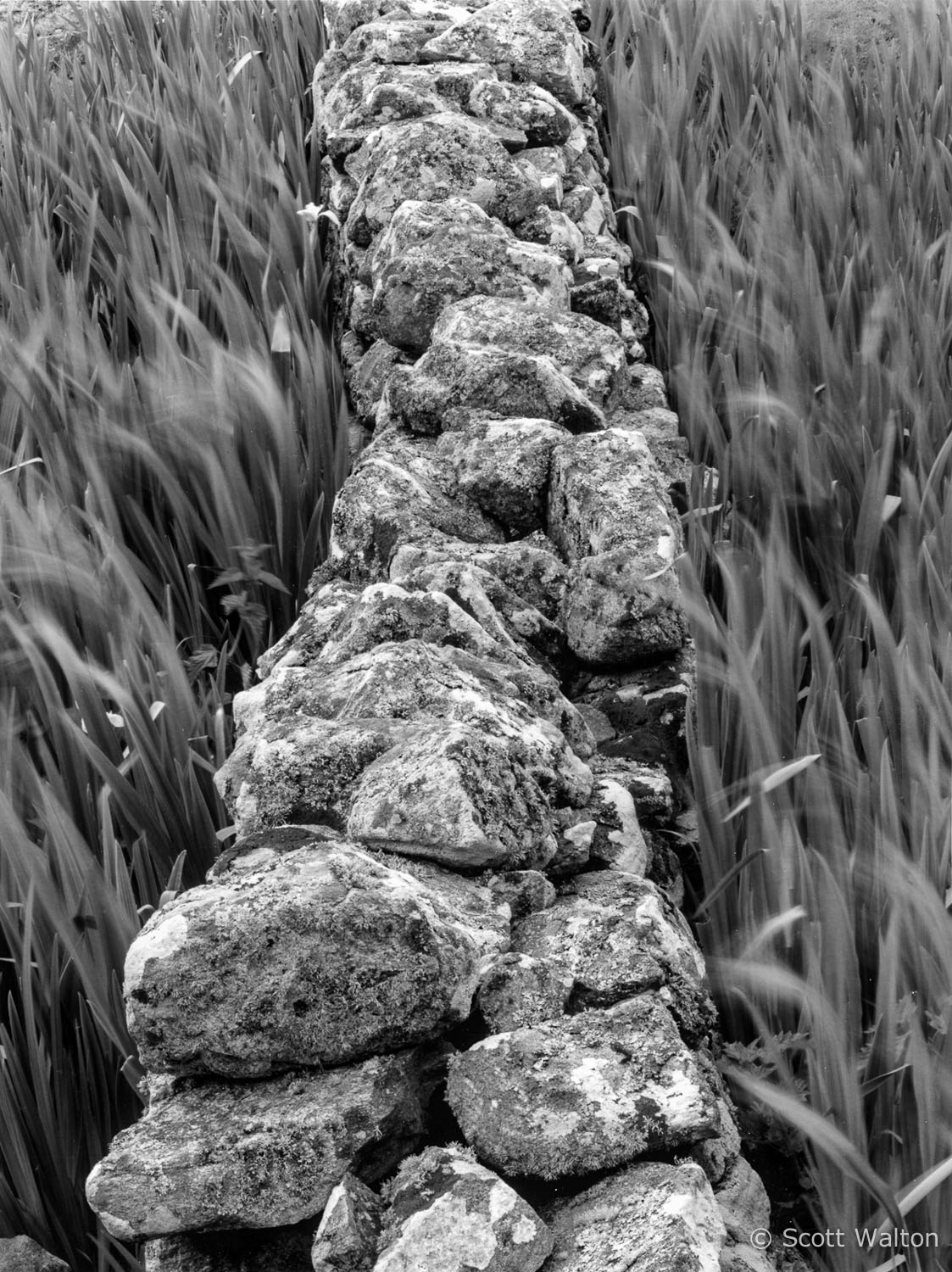 stone-wall-carnish-north-uist-outer-hebrides-scotland.jpg