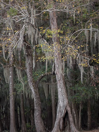 _IMG1343.jpg _IMG1343.jpg