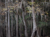 _IMG1348.jpg _IMG1348.jpg