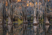 _MG_4520.jpg _MG_4520.jpg