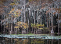 _MG_4620.jpg _MG_4620.jpg