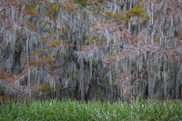 _MG_4649.jpg _MG_4649.jpg