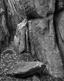 LeaningandStandingRock-Tmax100.jpg